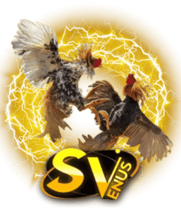 allwingame9